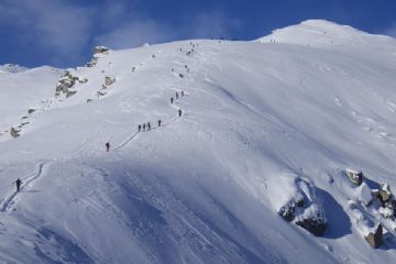 Punta Cia